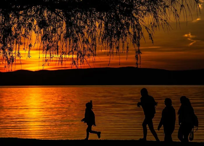 营地 Aranypart & 2*